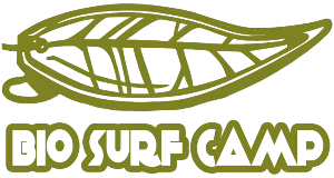 alojamiento bio surf camp